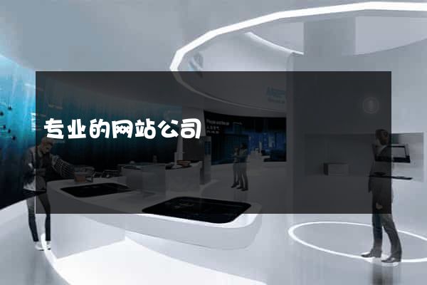 专业的网站公司