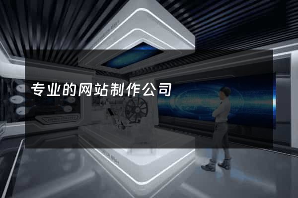 专业的网站制作公司
