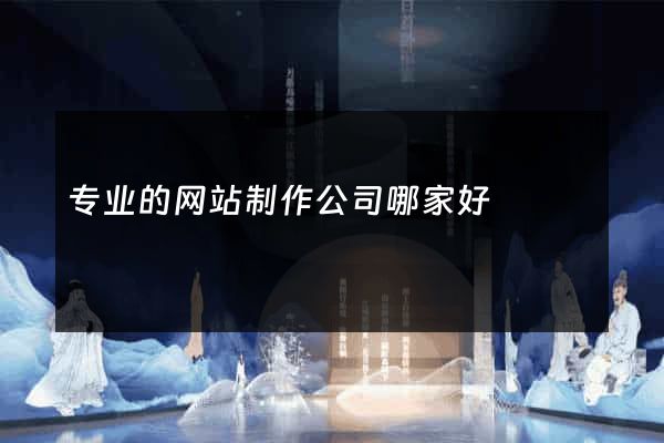 专业的网站制作公司哪家好
