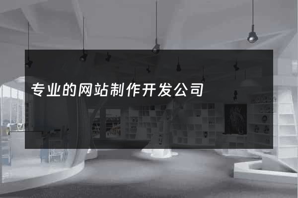 专业的网站制作开发公司