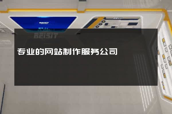 专业的网站制作服务公司