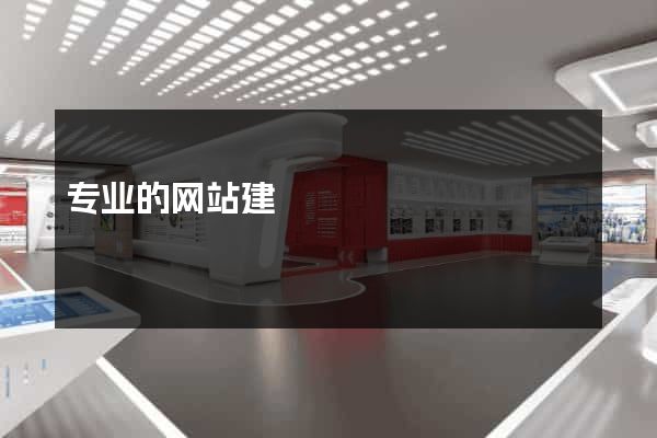 专业的网站建