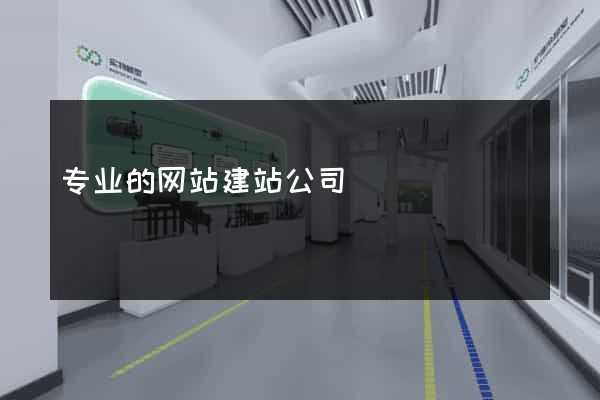 专业的网站建站公司