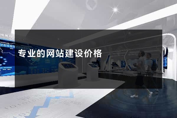 专业的网站建设价格