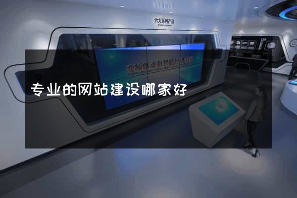专业的网站建设哪家好