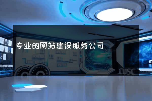 专业的网站建设服务公司