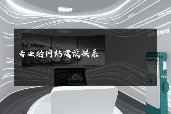 专业的网站建设联系