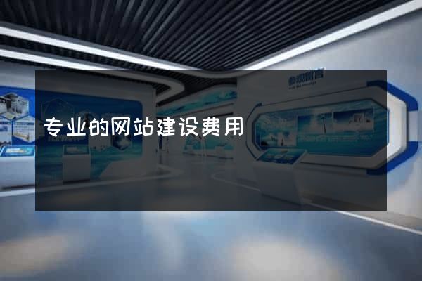 专业的网站建设费用
