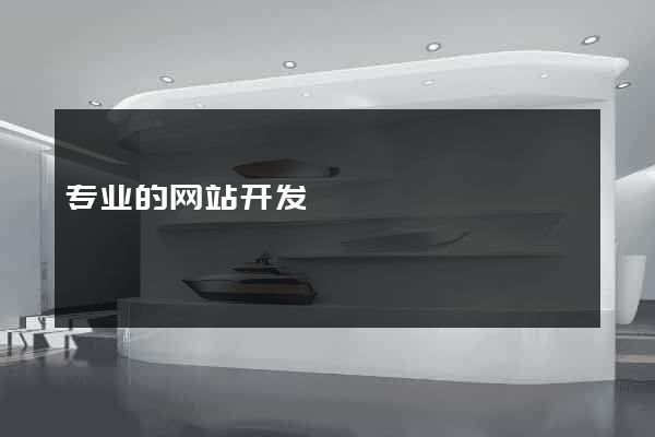 专业的网站开发