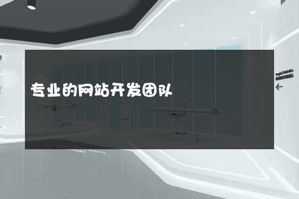 专业的网站开发团队