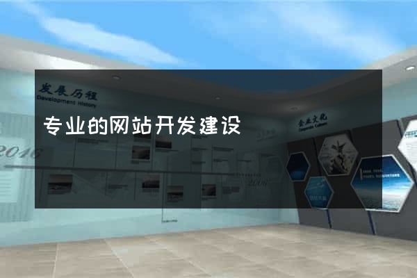 专业的网站开发建设