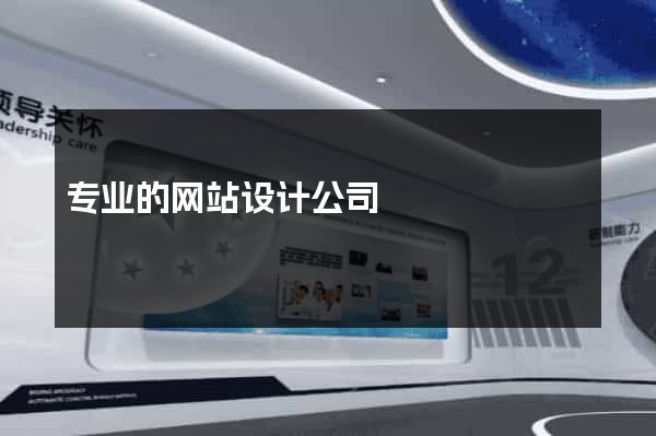 专业的网站设计公司