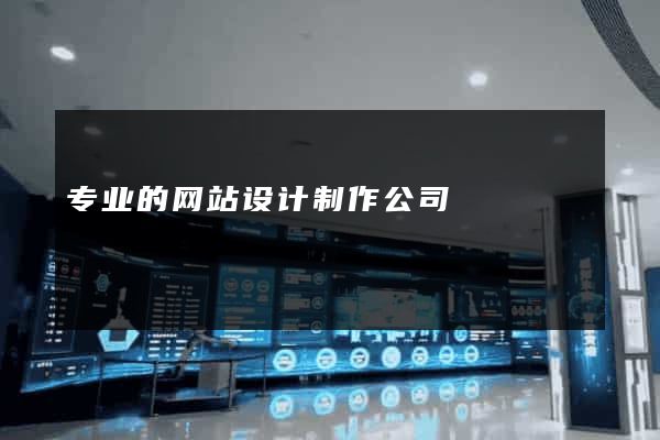 专业的网站设计制作公司
