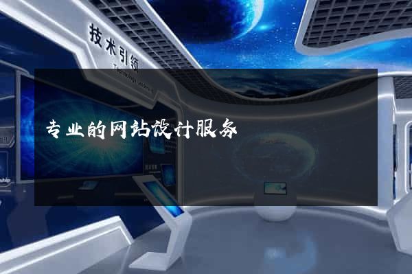 专业的网站设计服务
