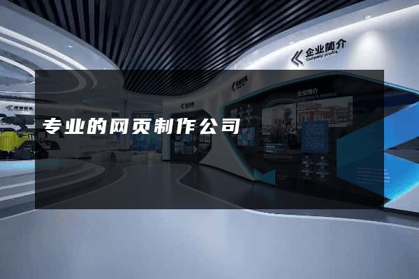 专业的网页制作公司