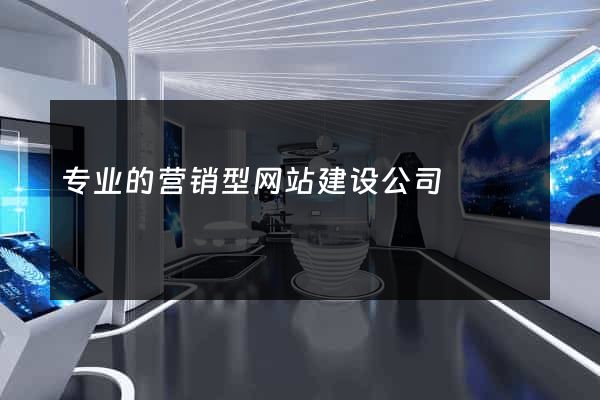专业的营销型网站建设公司