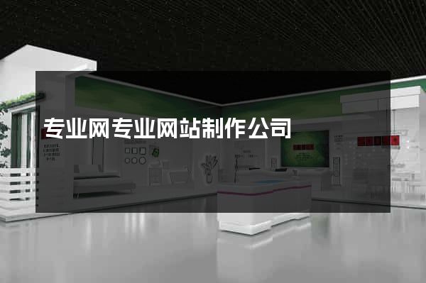 专业网专业网站制作公司