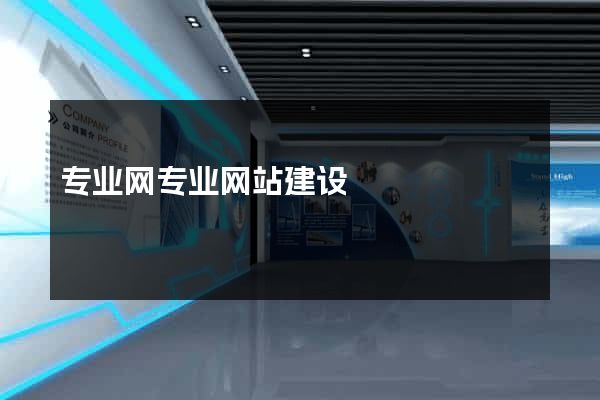 专业网专业网站建设