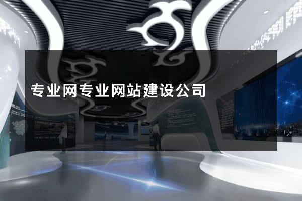专业网专业网站建设公司
