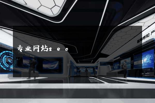 专业网站seo