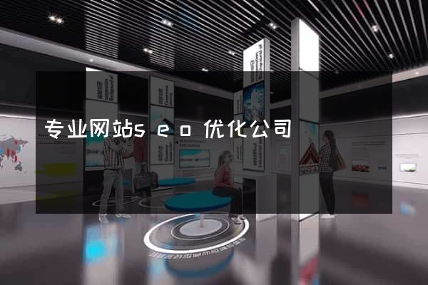 专业网站seo优化公司