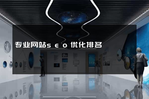 专业网站seo优化排名