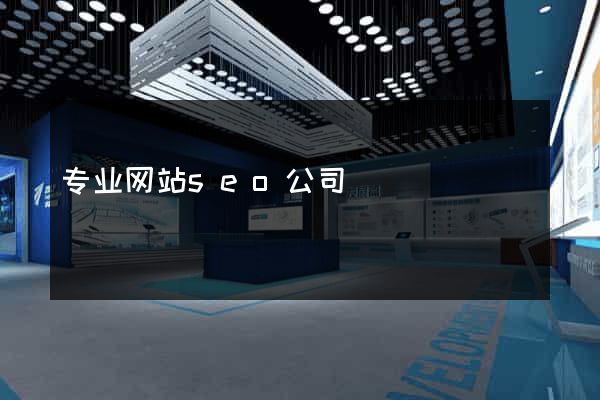 专业网站seo公司