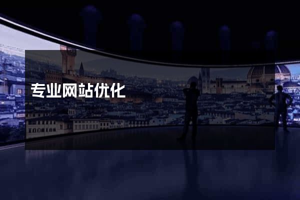 专业网站优化