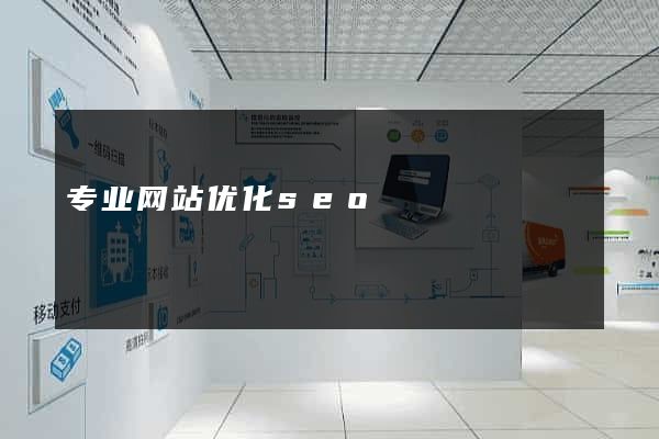 专业网站优化seo