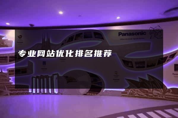 专业网站优化排名推荐