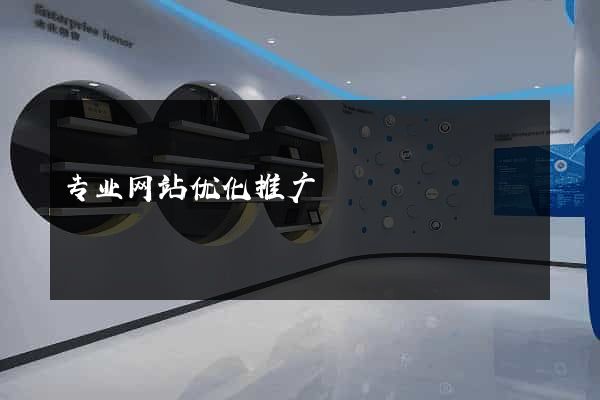 专业网站优化推广