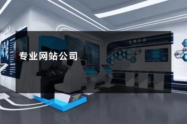 专业网站公司