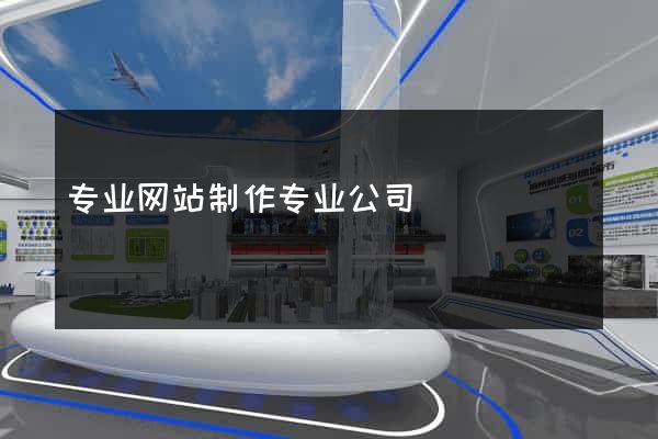 专业网站制作专业公司