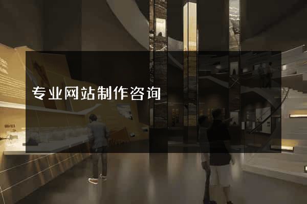 专业网站制作咨询