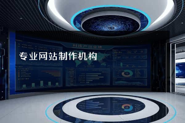 专业网站制作机构
