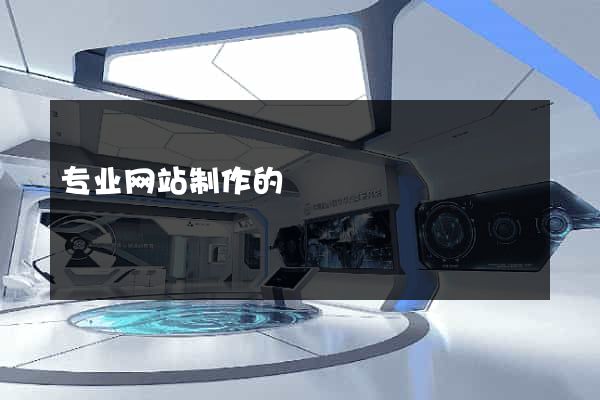 专业网站制作的