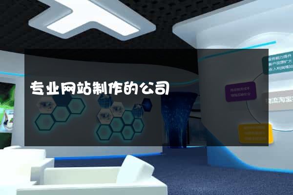 专业网站制作的公司