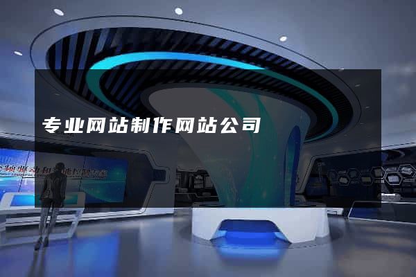 专业网站制作网站公司