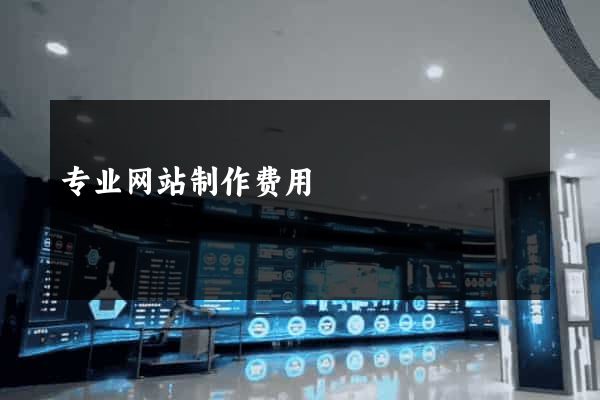 专业网站制作费用