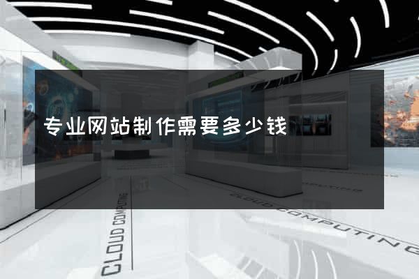 专业网站制作需要多少钱