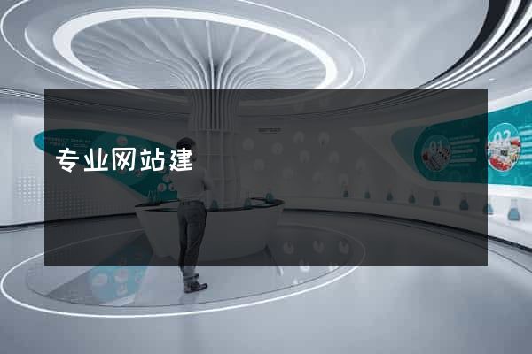 专业网站建