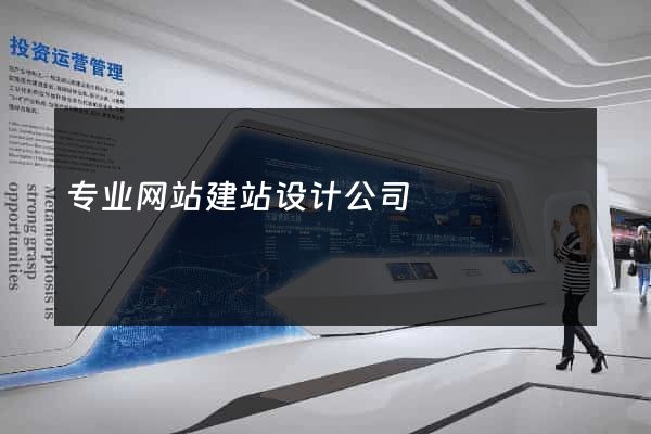 专业网站建站设计公司