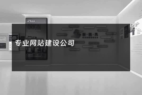专业网站建设公司