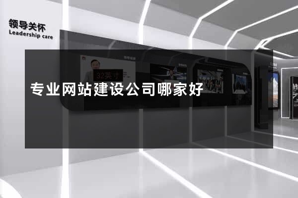 专业网站建设公司哪家好