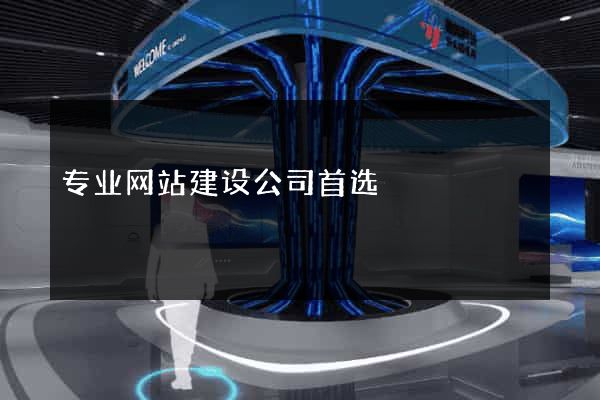 专业网站建设公司首选