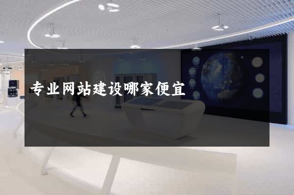 专业网站建设哪家便宜