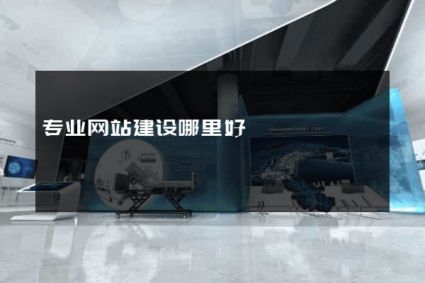 专业网站建设哪里好