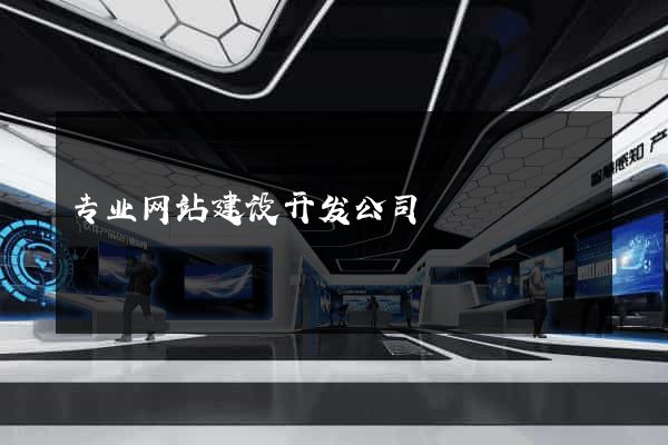 专业网站建设开发公司