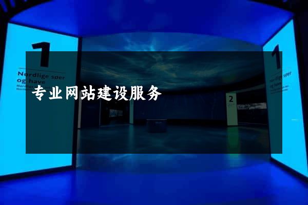 专业网站建设服务