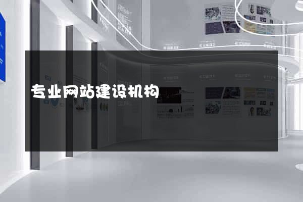 专业网站建设机构